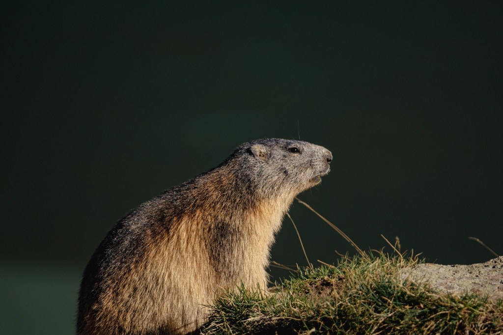 #11 The off-season in the&nbsp;Alps