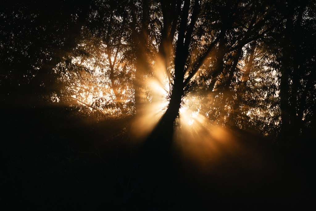 #50: Thoughts in the lead up to a big&nbsp;trip…