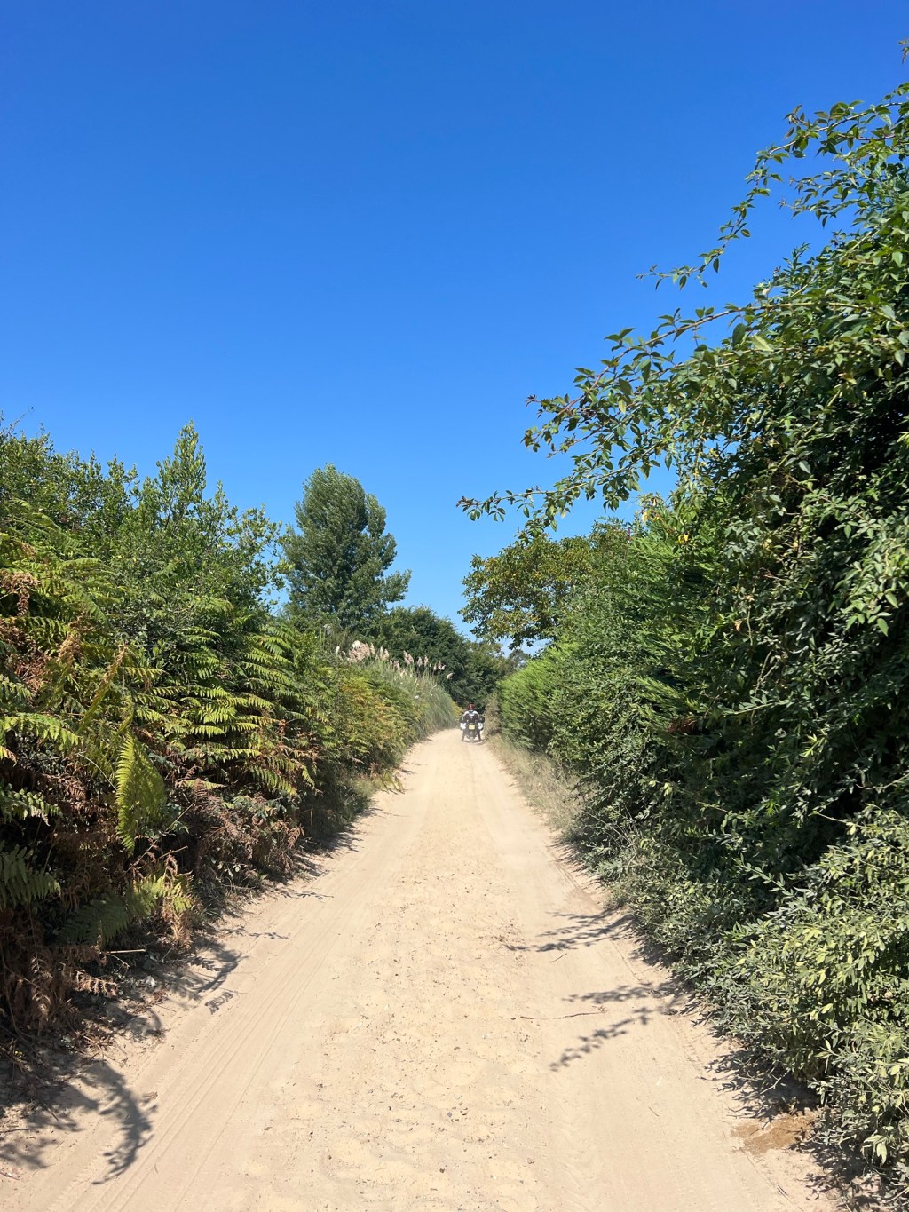 #61: Where We Encountered Soft Sand and Hot&nbsp;Fuzz